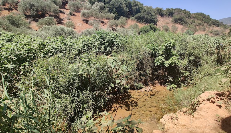  | موسوعة القرى الفلسطينية